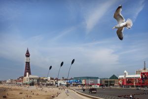 blackpool seagull 2 sm.jpg